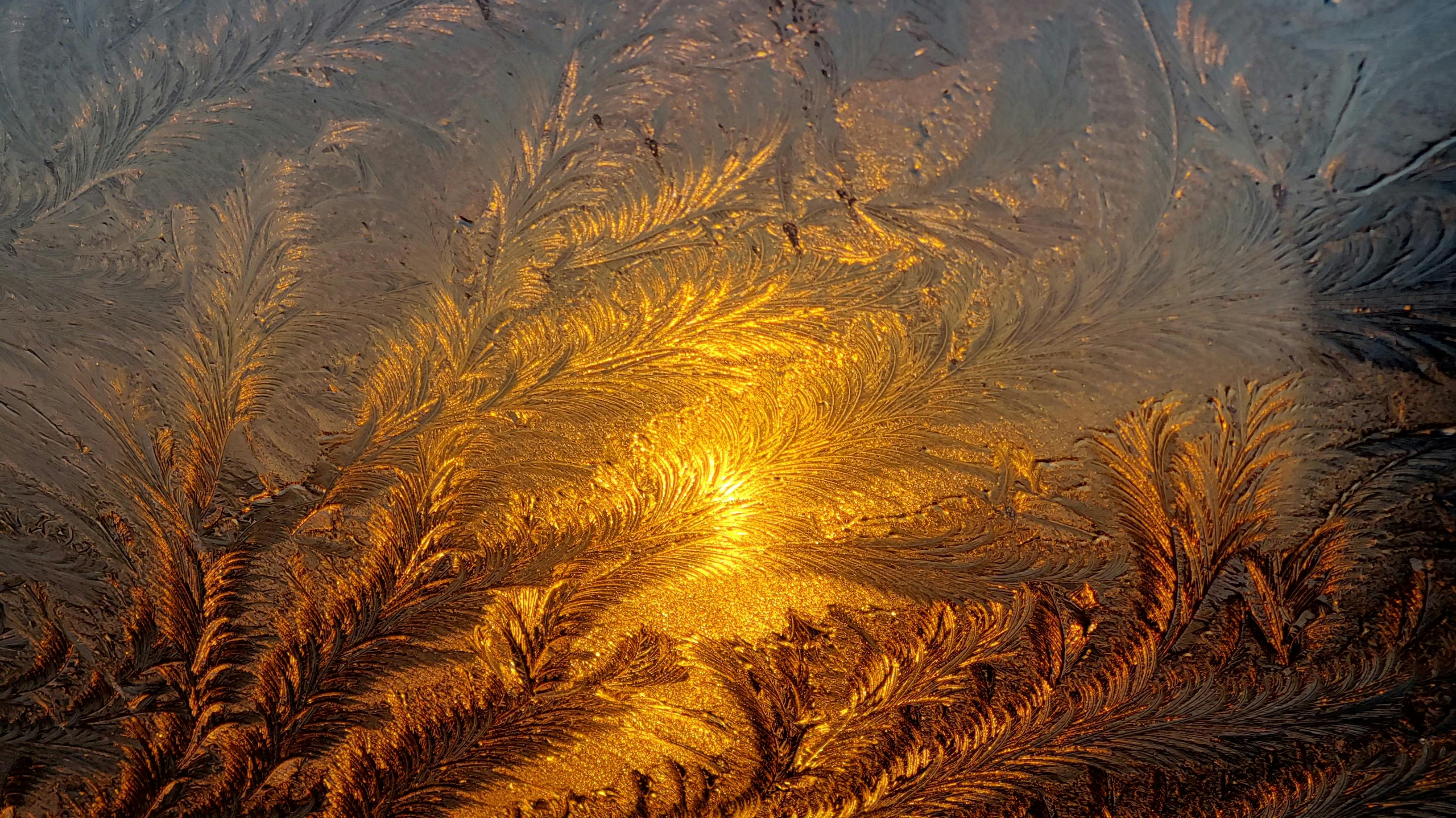 From Premium Growth to Policyholder Access: The New Life Insurance Landscape