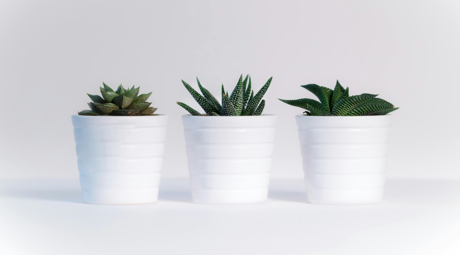 Innovation, Investment, and Industry Recognition in Life Insurance Innovation, Investment, and Industry Recognition in Life Insurance