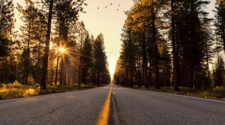 Automotive Insurance, EV Infrastructure, and Market Compliance News