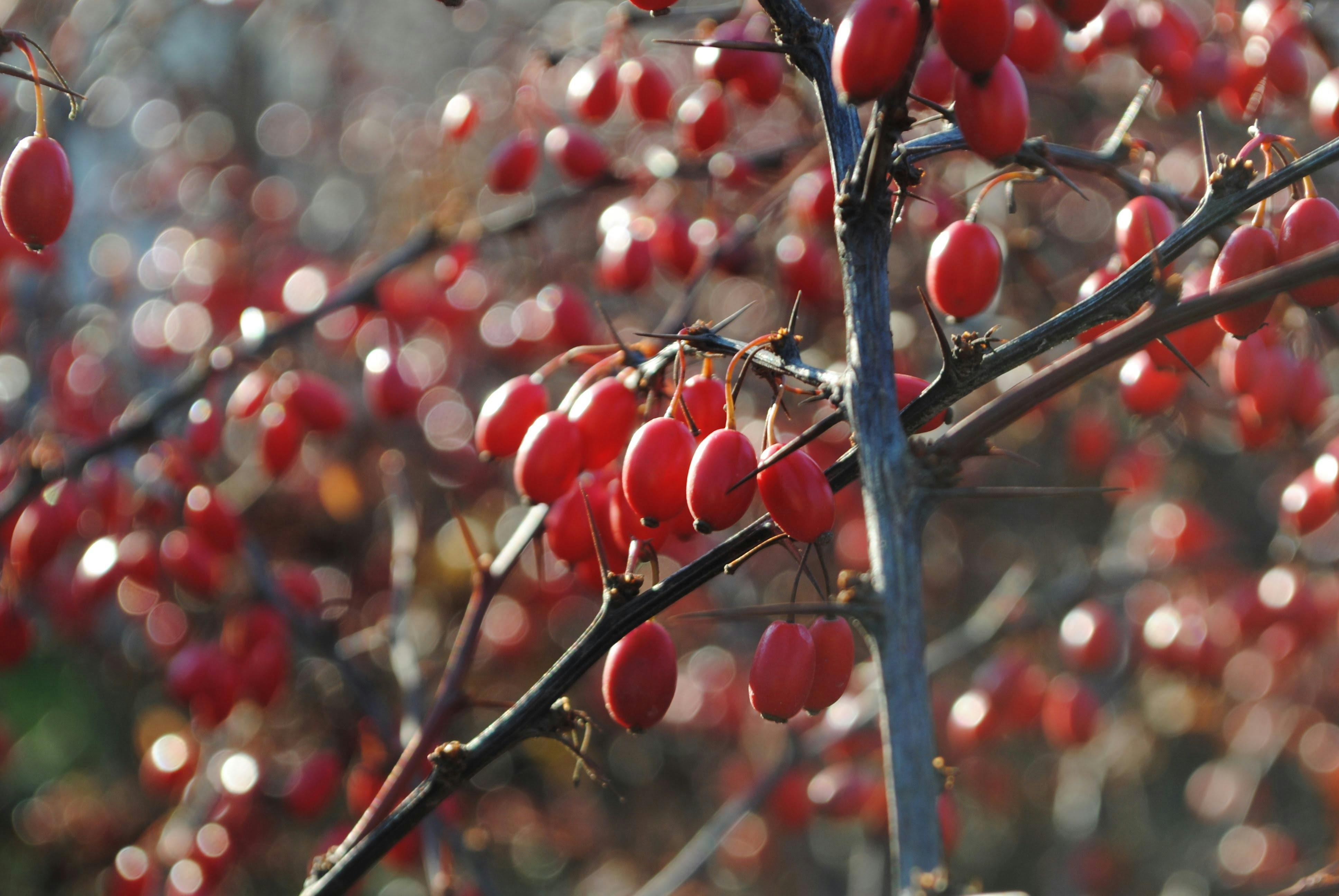 Rising Costs and Evolving Coverage: Key Health Insurance Developments