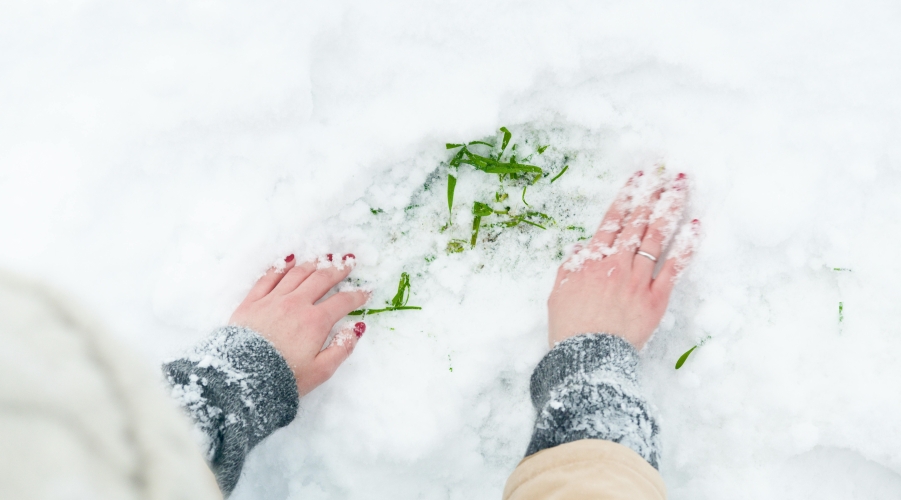 Big Deals and Expansion in Life Coverage