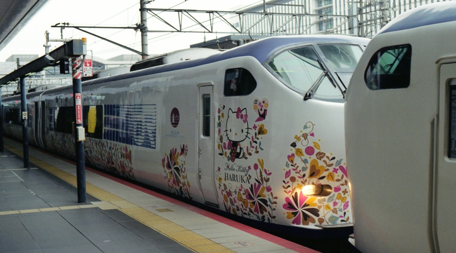 Travel Insurance Today: Market Developments and Emerging Risks